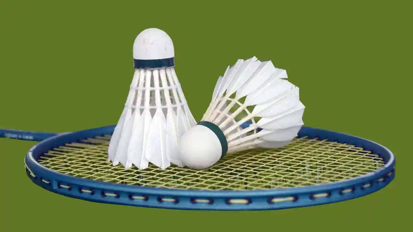 Tips for Sеtting up a Badminton Court 7D Plans
