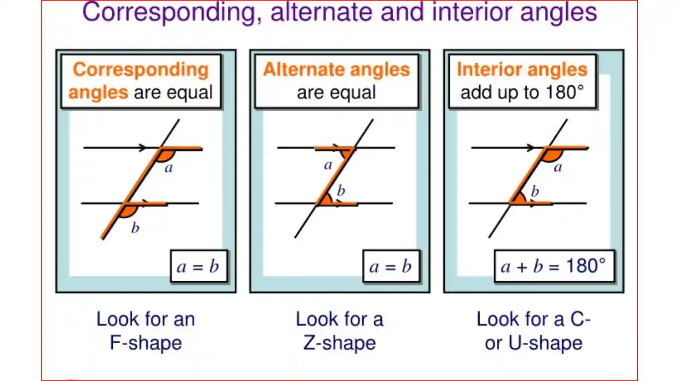 What Is Alternate Interior Angle Corresponding Co interior Angles